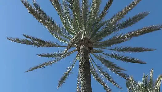 Outdoor, pool fuck for the young -titted Russian teen