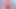 Goddess Rosie and a Small Dick? No Chance – SPH EBONY ASS, BIKINI