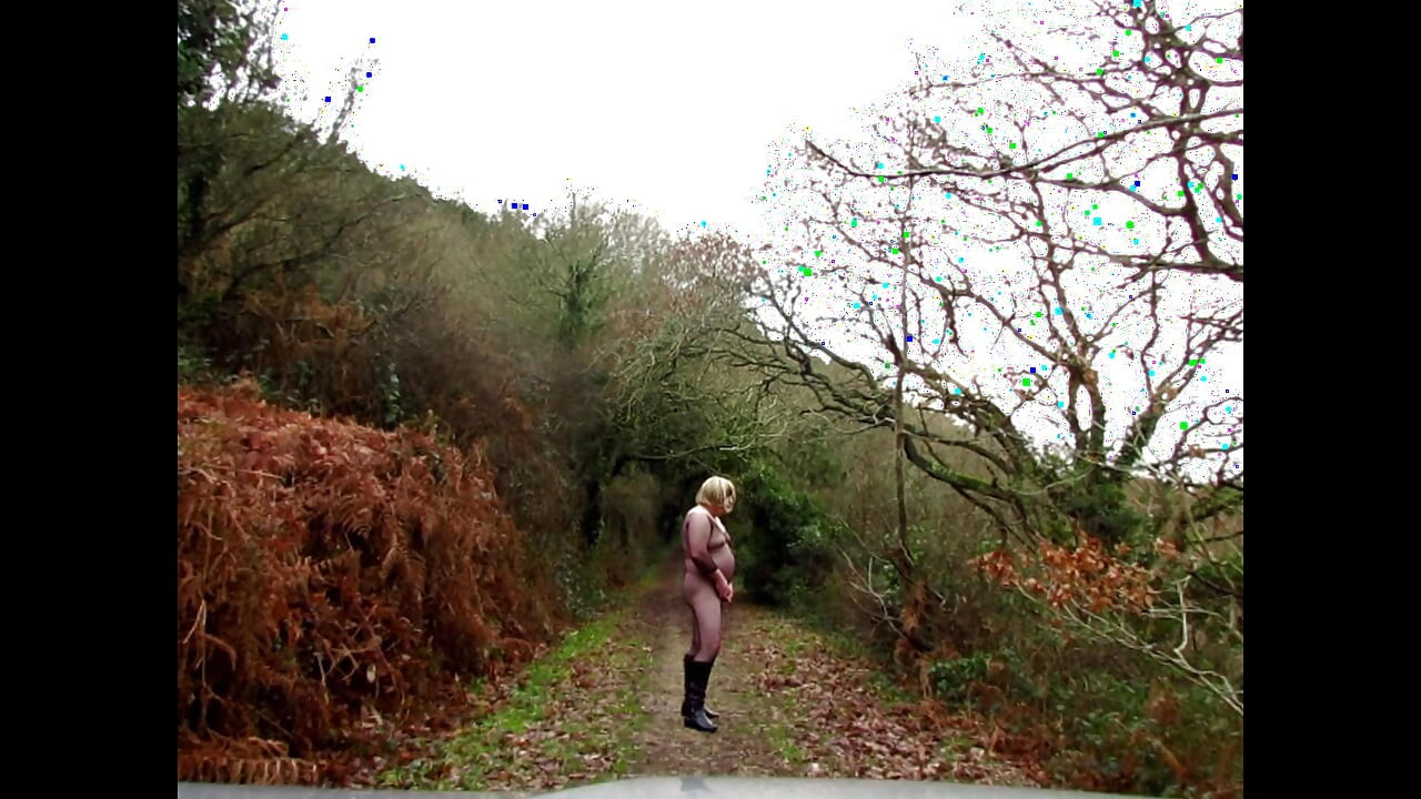 प्रकृति में प्रदर्शनी