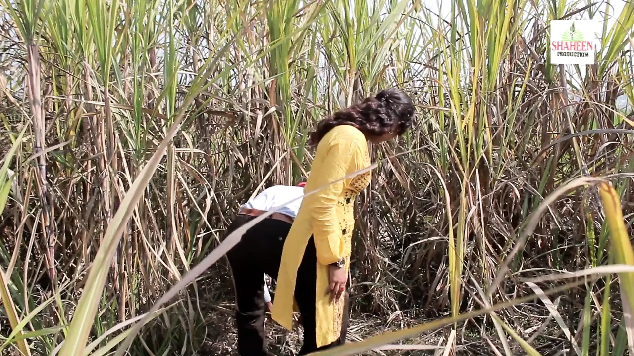 Ganne Ke Khet Mein 的浪漫爱情完整 Gandi Harkatei