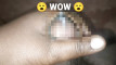 Pregled videozapisa