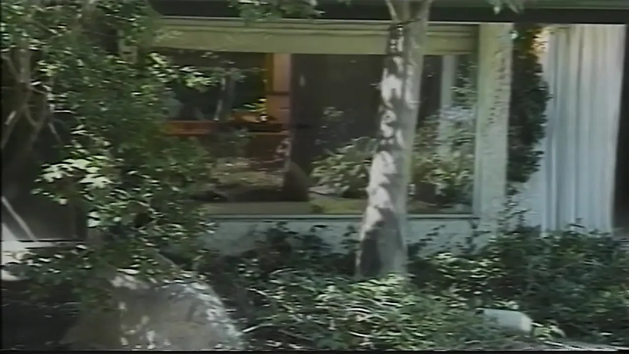 女孩只是想爱女孩 - 第1部分