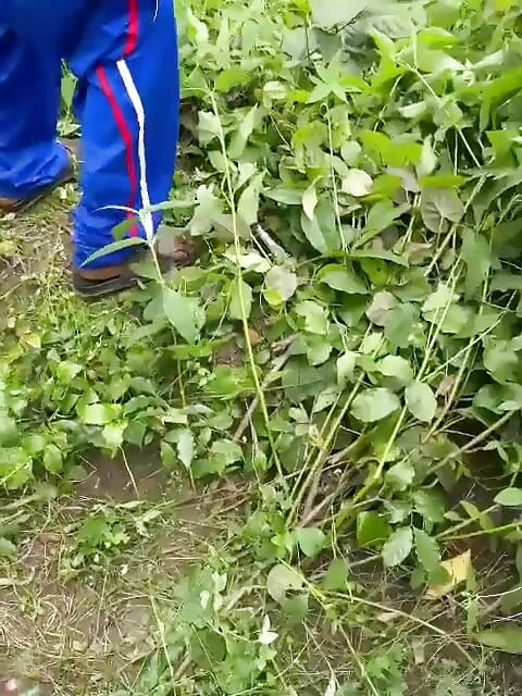 Fucking Wth My New Guy in Bush