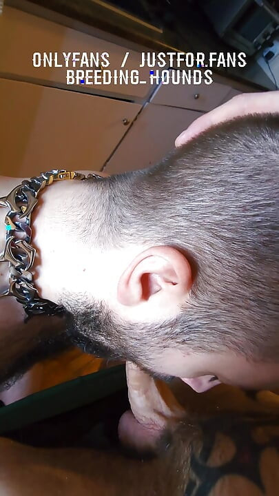 POV hungry daddy bear drinking up his bro tattooed shaft.