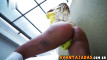 Pratinjau video