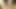 POV Sex with Local Babe