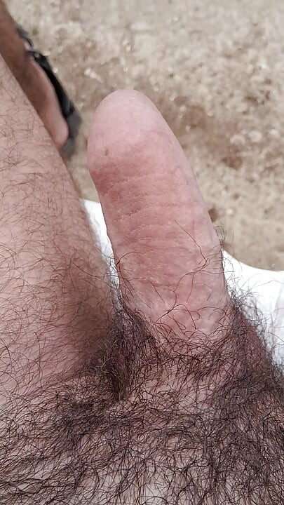 الديك الجميل من الناعم إلى الصلب
