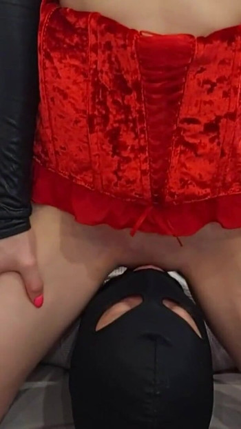Pregled videozapisa