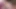 Butt Plugs Solo Female Masturbation Orgasm for Daddy