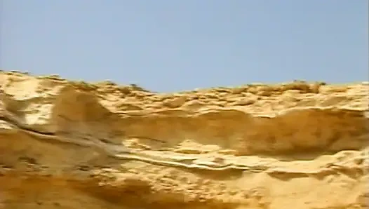 Hot German sluts sharing dick and sperm on the beach