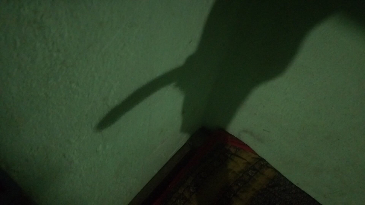 This is my Hot cock