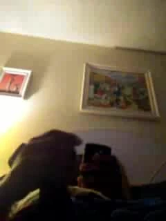 playfulboner929