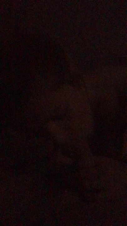 Wife sucking my cock