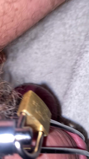 私のチンコは檻の中で縛られている