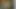 cum on a pic