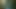 Junge Frau im Wald