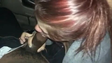 sucking bbc in the car at night