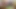 473 BI BBW Slut first time on Video
