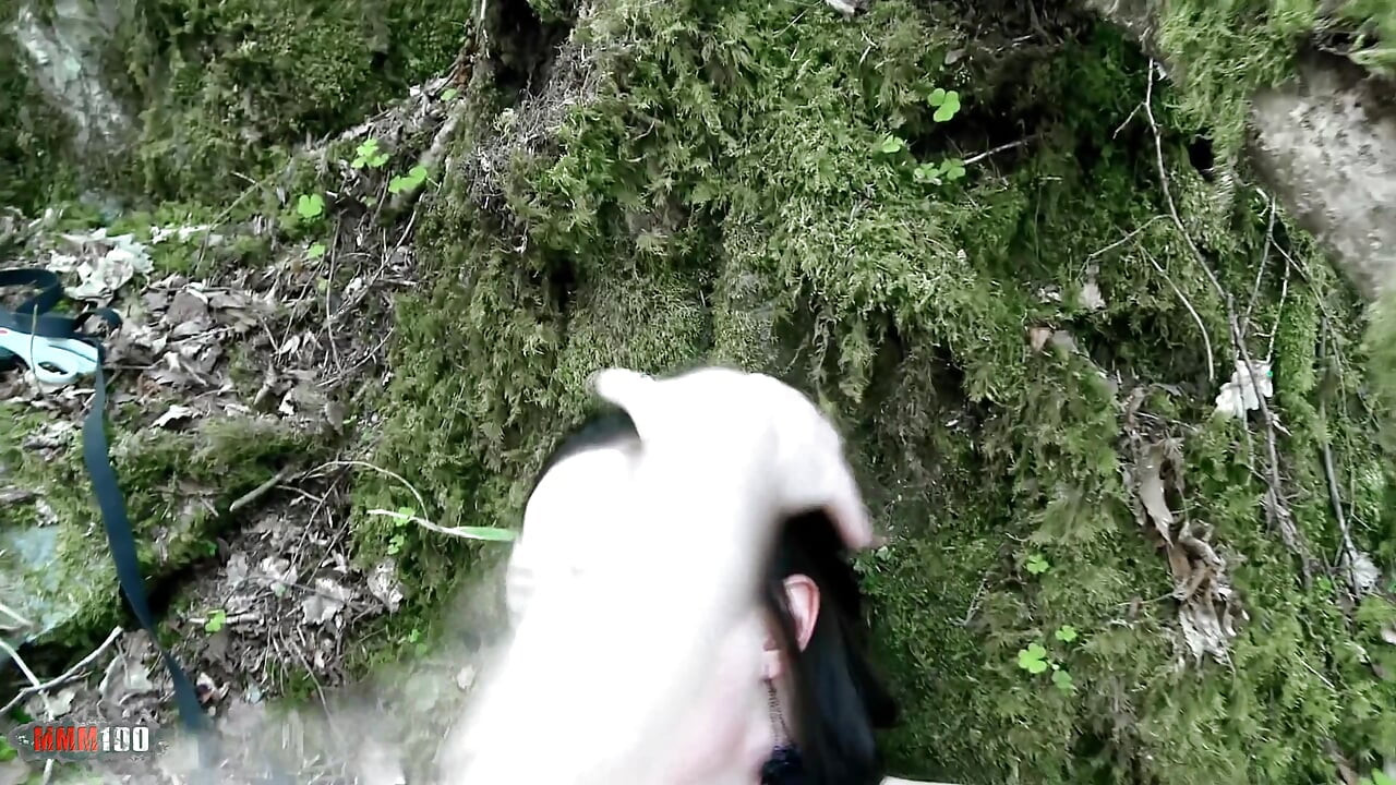 安吉拉钢隶在树林里