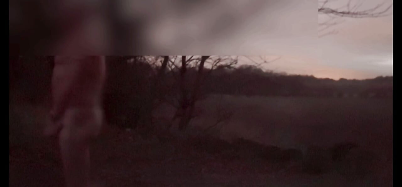 الاستمناء في تخزين الجسم ، تفادي السيارات التي تمر