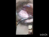 Video ön izlemesi