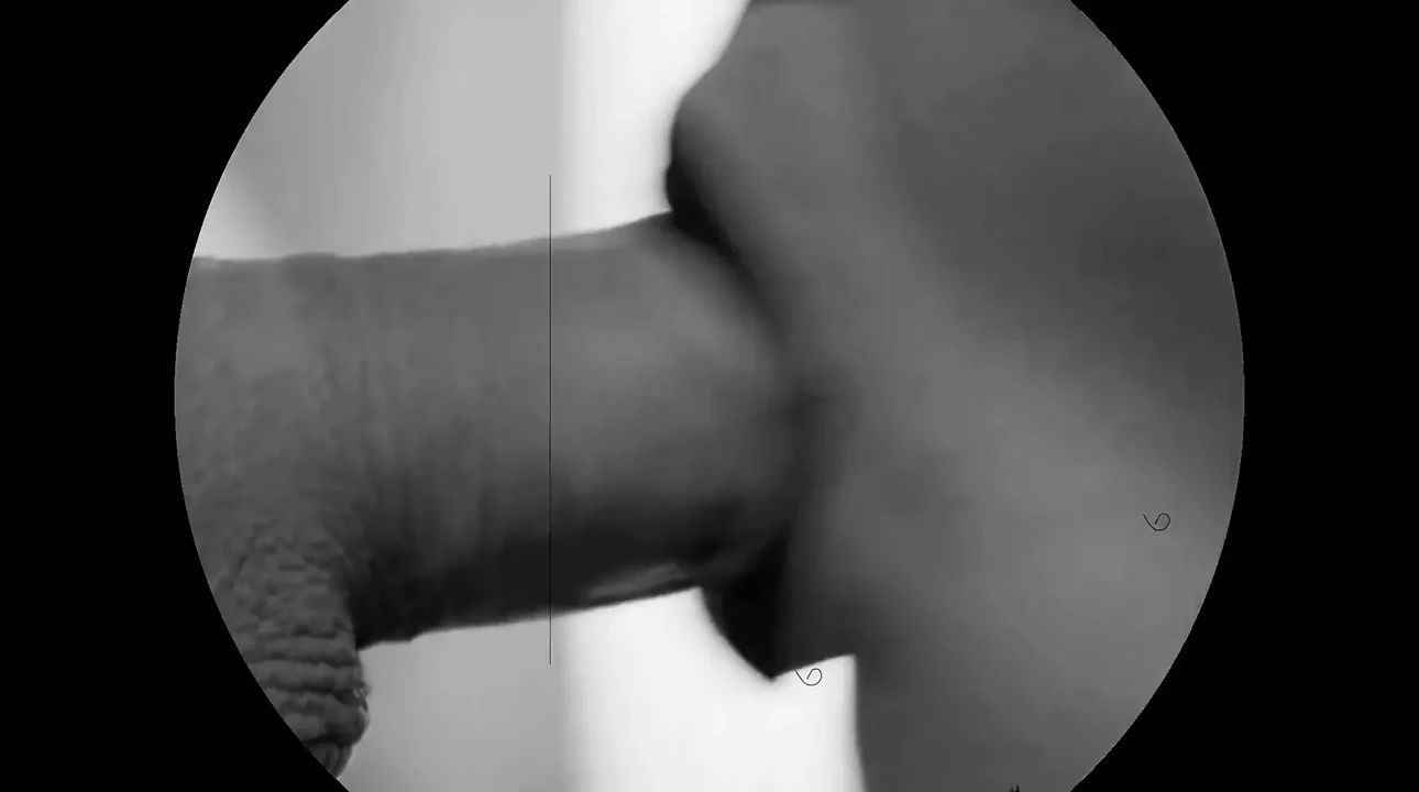Deep Blowjob - I suck it without the hands and it cum at the bottom of my throat