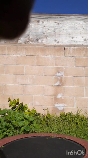 Черный паренек дает 3 камшота назад на спину | Клип 3