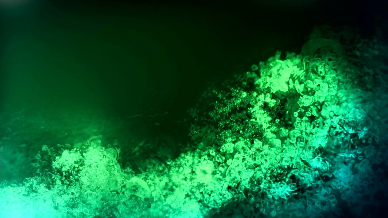 Loira sexy em POV adora mijar e foder