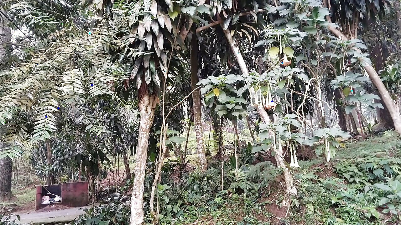 Plimbări spre atracții turistice naturale și urinarea în toaletele publice
