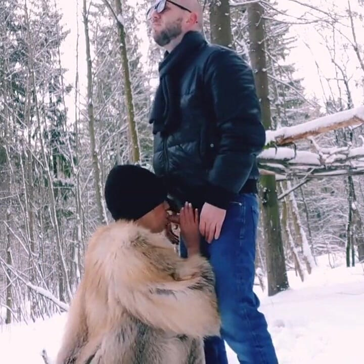 In the Winter Forest
