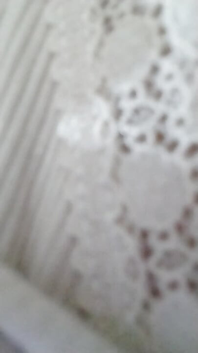 9ahba algiers b shorts