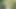 Olgun gilf seviyor o köpek ile onun büyük horoz aşağı ona delik