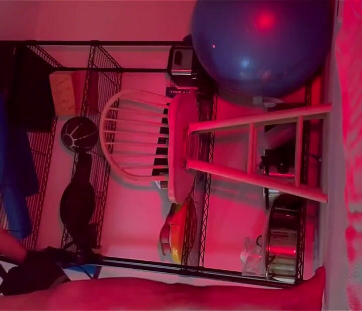 Red Light Therapy Strip Stroke Cum on Dildo