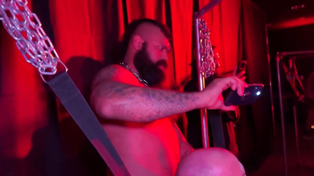 Bear Cruises the Dark Rooms