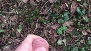 Masturbation, éjaculation, forêt