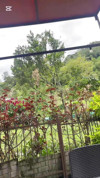 Pratinjau video