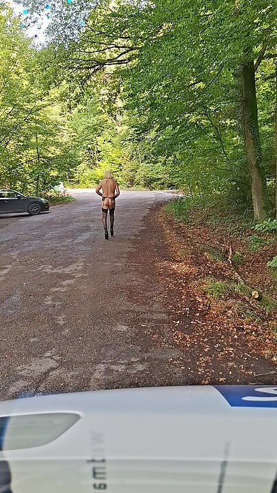 Forest car park