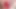 Hard Thrust Creampie Frenzy. Wild Gyaru Pleasure with Relentless Piston Action
