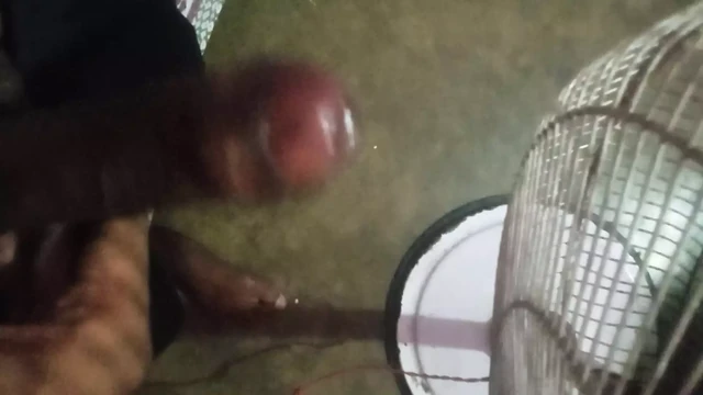 Men sex big cock video