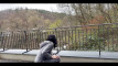Pratinjau video
