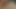アナルプラグでミルフのアナルとチンポが膣で突かれる