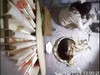 Pregled videozapisa
