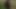 Bulgarian BG