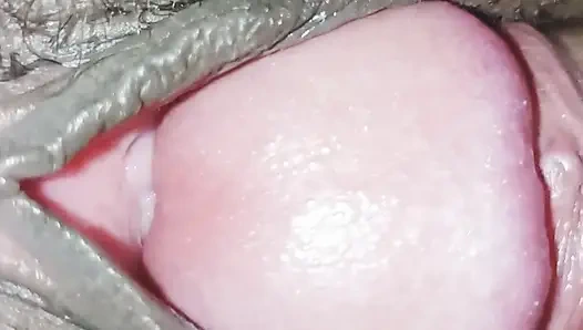 Pinke nahaufnahme muschi- und schwanz-sex