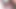 Bangladeshi couple, blowjob and boobs fuck