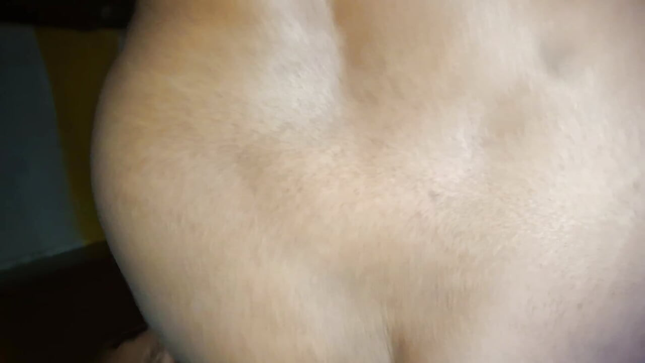 Desi Chudai Indian Hot Couple Fuck Hardcore Fucking