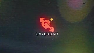 GAYERDAR