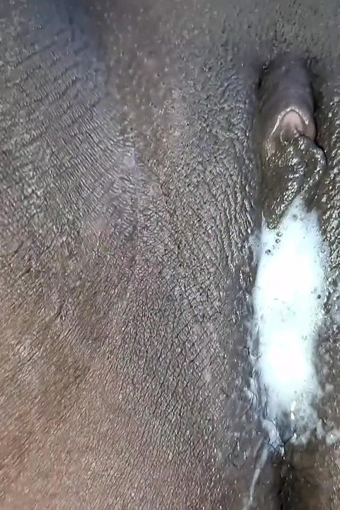 Kontrolden çıktıktan sonra amcığı dölle kaplı