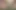 Duşta Tombul MILF Vajinasını Ağla Ediyor