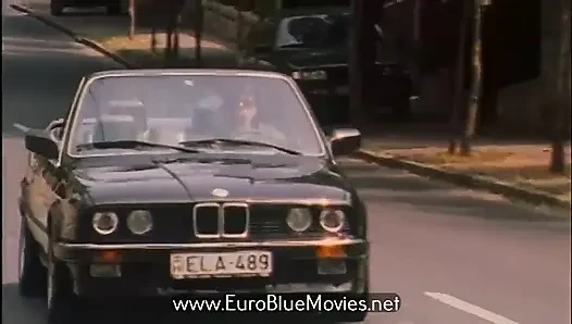 Kariyer sürtük (1990)